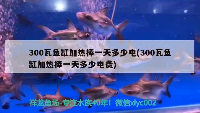 300瓦魚缸加熱棒一天多少電(300瓦魚缸加熱棒一天多少電費(fèi))