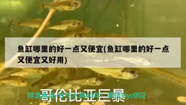 魚(yú)缸哪里的好一點(diǎn)又便宜(魚(yú)缸哪里的好一點(diǎn)又便宜又好用) 馬拉莫寶石魚(yú)苗