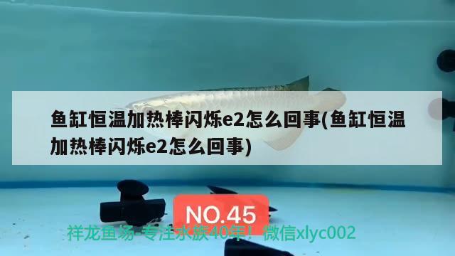 魚缸恒溫加熱棒閃爍e2怎么回事(魚缸恒溫加熱棒閃爍e2怎么回事) 海水魚（海水魚批發(fā)）