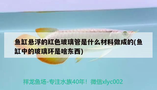 魚缸懸浮的紅色玻璃管是什么材料做成的(魚缸中的玻璃環(huán)是啥東西) 大日玉鯖魚