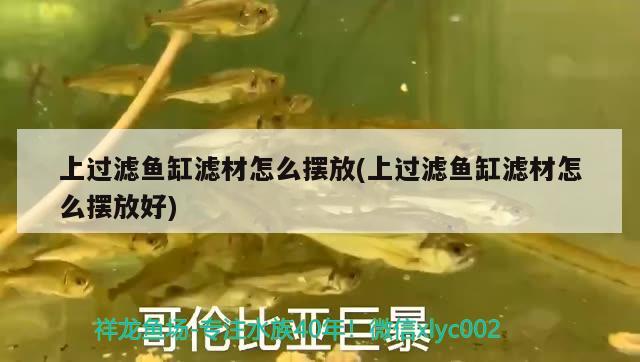 上過濾魚缸濾材怎么擺放(上過濾魚缸濾材怎么擺放好)