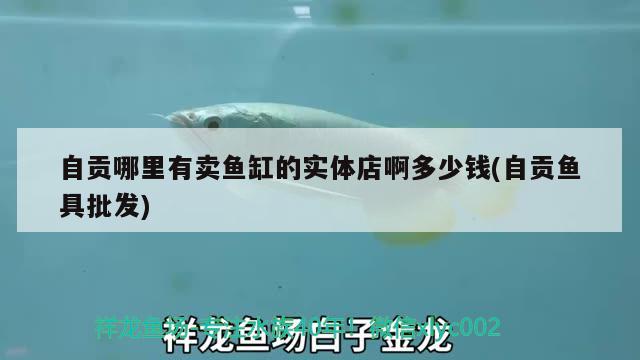 自貢哪里有賣魚缸的實體店啊多少錢(自貢魚具批發(fā))