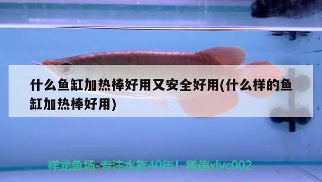 什么魚缸加熱棒好用又安全好用(什么樣的魚缸加熱棒好用) 過濾設(shè)備