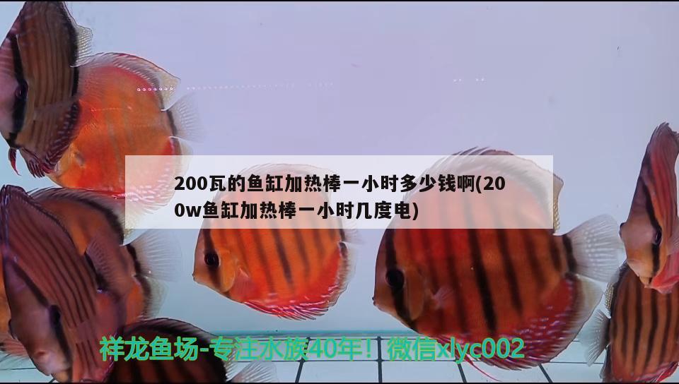 200瓦的魚缸加熱棒一小時多少錢啊(200w魚缸加熱棒一小時幾度電) 羅漢魚批發(fā)