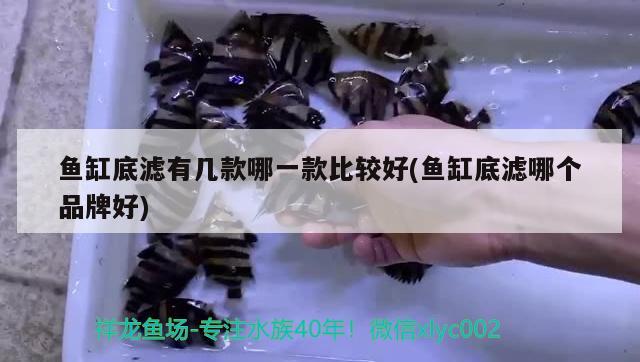 魚缸底濾有幾款哪一款比較好(魚缸底濾哪個品牌好) 魚缸風(fēng)水