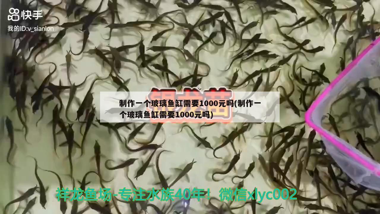 制作一個玻璃魚缸需要1000元嗎(制作一個玻璃魚缸需要1000元嗎)