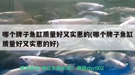 哪個(gè)牌子魚缸質(zhì)量好又實(shí)惠的(哪個(gè)牌子魚缸質(zhì)量好又實(shí)惠的好)