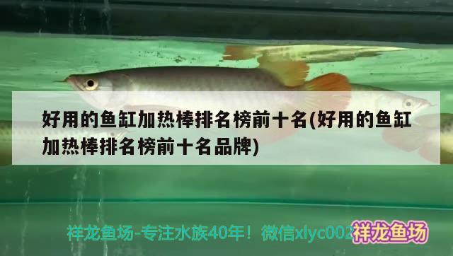 好用的魚缸加熱棒排名榜前十名(好用的魚缸加熱棒排名榜前十名品牌) 錦鯉魚