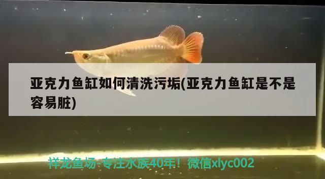 亞克力魚缸如何清洗污垢(亞克力魚缸是不是容易臟)