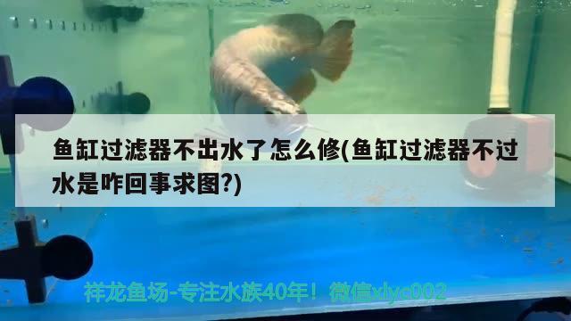 魚缸過濾器不出水了怎么修(魚缸過濾器不過水是咋回事求圖?)