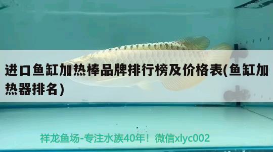 進(jìn)口魚缸加熱棒品牌排行榜及價(jià)格表(魚缸加熱器排名)