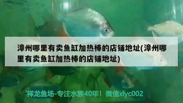 漳州哪里有賣魚缸加熱棒的店鋪地址(漳州哪里有賣魚缸加熱棒的店鋪地址)