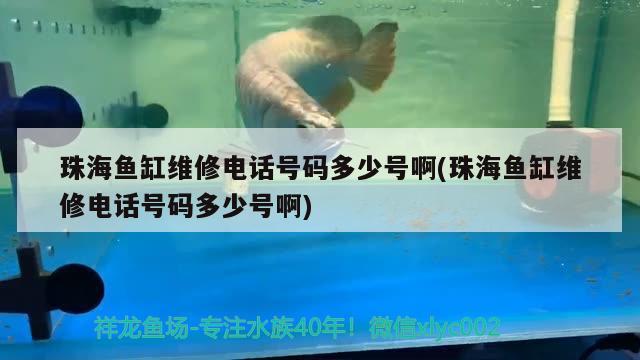 珠海魚缸維修電話號碼多少號啊(珠海魚缸維修電話號碼多少號啊)