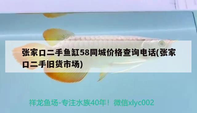 張家口二手魚缸58同城價格查詢電話(張家口二手舊貨市場) 黃金招財貓魚