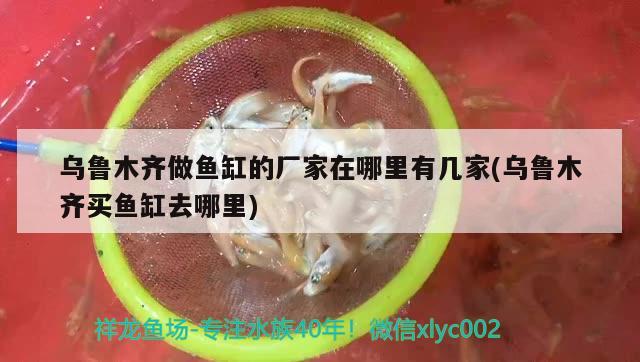 烏魯木齊做魚缸的廠家在哪里有幾家(烏魯木齊買魚缸去哪里)