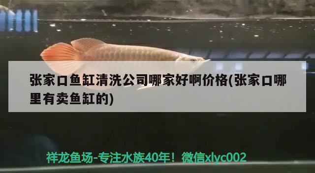 張家口魚缸清洗公司哪家好啊價格(張家口哪里有賣魚缸的) 羽毛刀魚苗