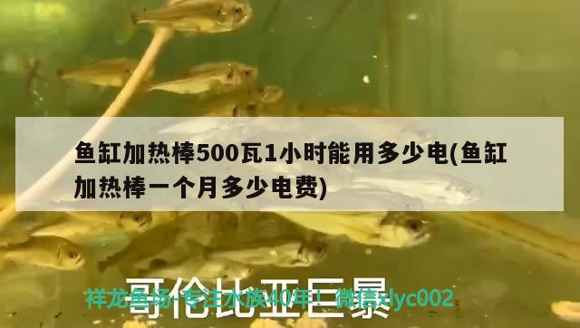 魚缸加熱棒500瓦1小時能用多少電(魚缸加熱棒一個月多少電費) 金龍魚糧