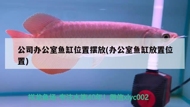 公司辦公室魚缸位置擺放(辦公室魚缸放置位置) 印尼紅龍魚