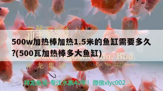 500w加熱棒加熱1.5米的魚缸需要多久?(500瓦加熱棒多大魚缸) 喂食器