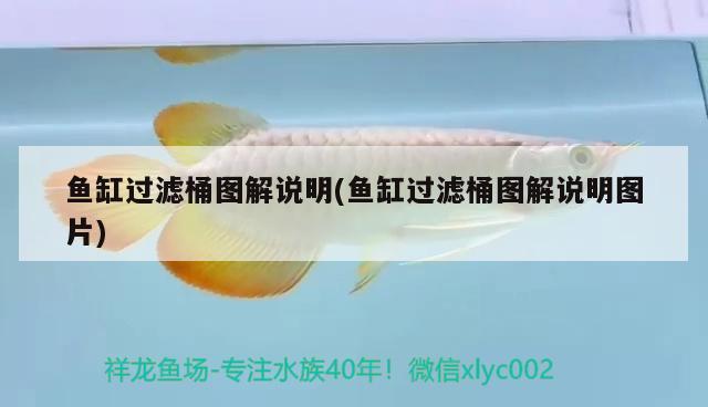 魚缸過濾桶圖解說明(魚缸過濾桶圖解說明圖片) 紅龍福龍魚