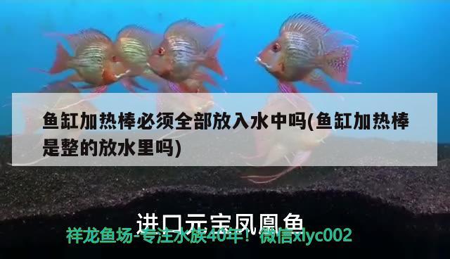 魚缸加熱棒必須全部放入水中嗎(魚缸加熱棒是整的放水里嗎)