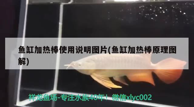 魚缸加熱棒使用說明圖片(魚缸加熱棒原理圖解) 森森魚缸