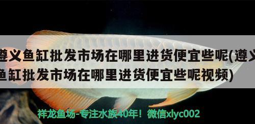 遵義魚缸批發(fā)市場在哪里進貨便宜些呢(遵義魚缸批發(fā)市場在哪里進貨便宜些呢視頻)