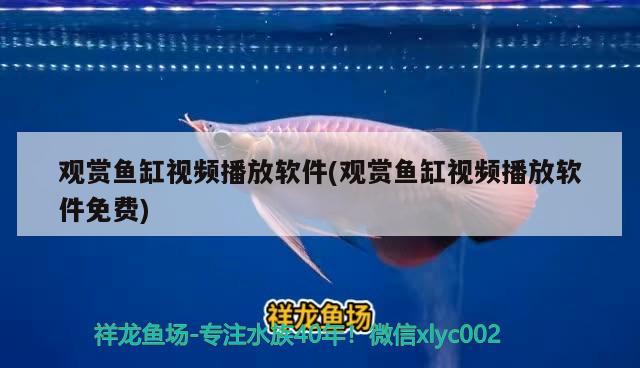 觀賞魚缸視頻播放軟件(觀賞魚缸視頻播放軟件免費(fèi))