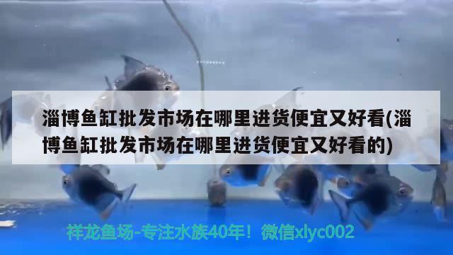 淄博魚缸批發(fā)市場在哪里進貨便宜又好看(淄博魚缸批發(fā)市場在哪里進貨便宜又好看的)