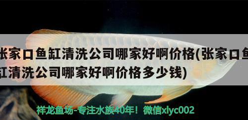 張家口魚缸清洗公司哪家好啊價格(張家口魚缸清洗公司哪家好啊價格多少錢)