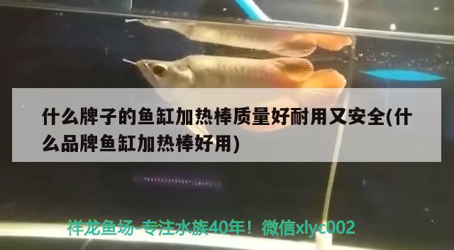 什么牌子的魚缸加熱棒質(zhì)量好耐用又安全(什么品牌魚缸加熱棒好用)