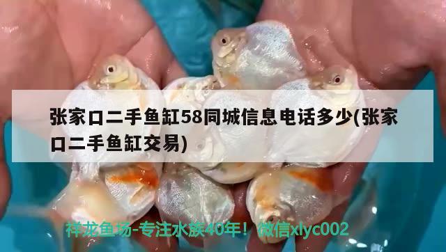 張家口二手魚缸58同城信息電話多少(張家口二手魚缸交易)