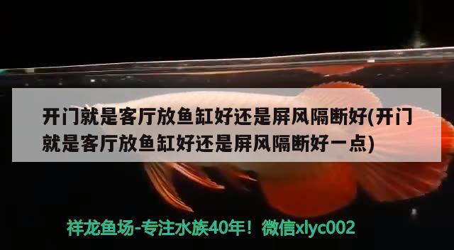 開門就是客廳放魚缸好還是屏風隔斷好(開門就是客廳放魚缸好還是屏風隔斷好一點) 斑馬鴨嘴魚苗