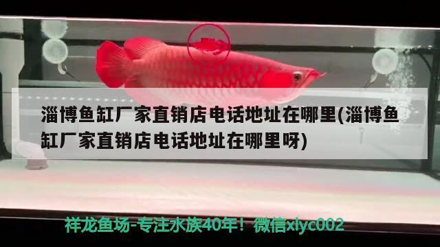 淄博魚缸廠家直銷店電話地址在哪里(淄博魚缸廠家直銷店電話地址在哪里呀) 森森魚缸 第2張