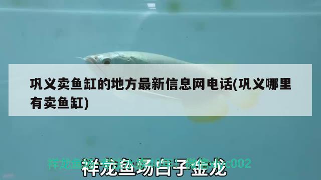 鞏義賣(mài)魚(yú)缸的地方最新信息網(wǎng)電話(huà)(鞏義哪里有賣(mài)魚(yú)缸) 雙線(xiàn)側(cè)魚(yú)