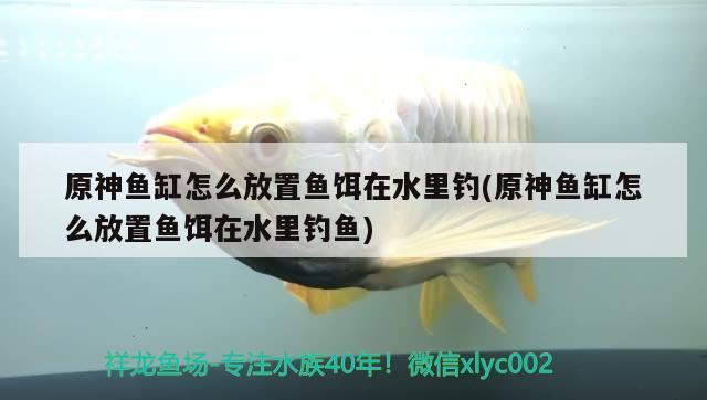 原神魚缸怎么放置魚餌在水里釣(原神魚缸怎么放置魚餌在水里釣魚)