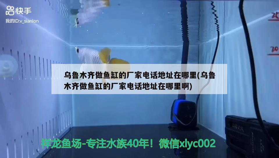 烏魯木齊做魚缸的廠家電話地址在哪里(烏魯木齊做魚缸的廠家電話地址在哪里啊)