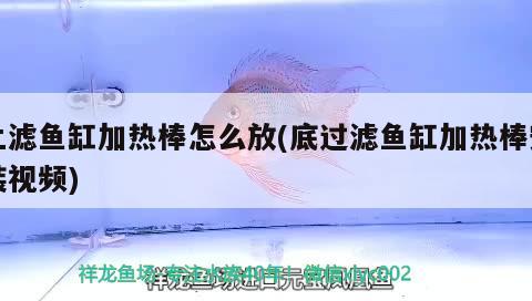 上濾魚缸加熱棒怎么放(底過濾魚缸加熱棒安裝視頻)