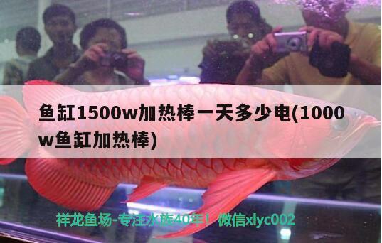 魚缸1500w加熱棒一天多少電(1000w魚缸加熱棒)