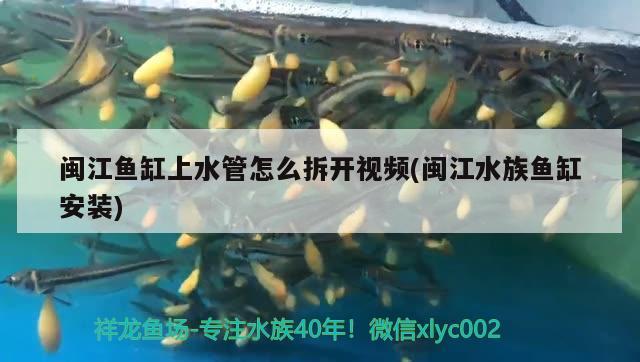 閩江魚缸上水管怎么拆開視頻(閩江水族魚缸安裝)