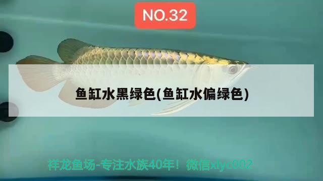 魚缸水黑綠色(魚缸水偏綠色)