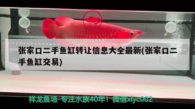 張家口二手魚缸轉(zhuǎn)讓信息大全最新(張家口二手魚缸交易)