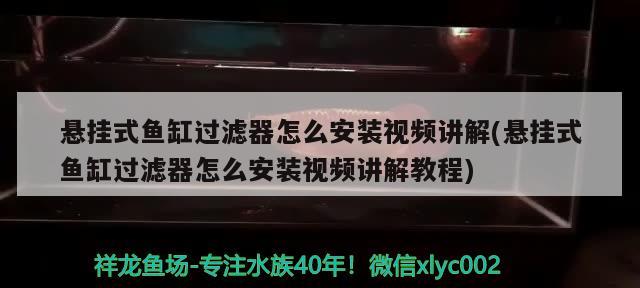 懸掛式魚缸過濾器怎么安裝視頻講解(懸掛式魚缸過濾器怎么安裝視頻講解教程) 廣州水族器材濾材批發(fā)市場