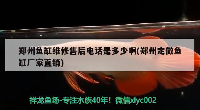 鄭州魚缸維修售后電話是多少啊(鄭州定做魚缸廠家直銷)