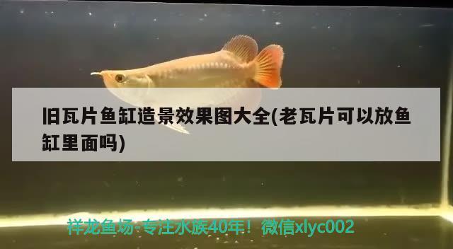 舊瓦片魚缸造景效果圖大全(老瓦片可以放魚缸里面嗎)