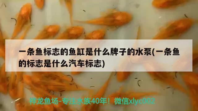 一條魚標(biāo)志的魚缸是什么牌子的水泵(一條魚的標(biāo)志是什么汽車標(biāo)志) 殺菌消毒設(shè)備