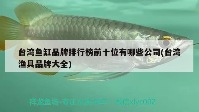 臺(tái)灣魚(yú)缸品牌排行榜前十位有哪些公司(臺(tái)灣漁具品牌大全)