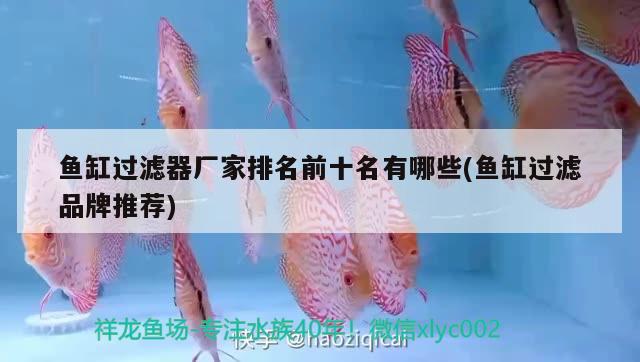 魚缸過濾器廠家排名前十名有哪些(魚缸過濾品牌推薦)