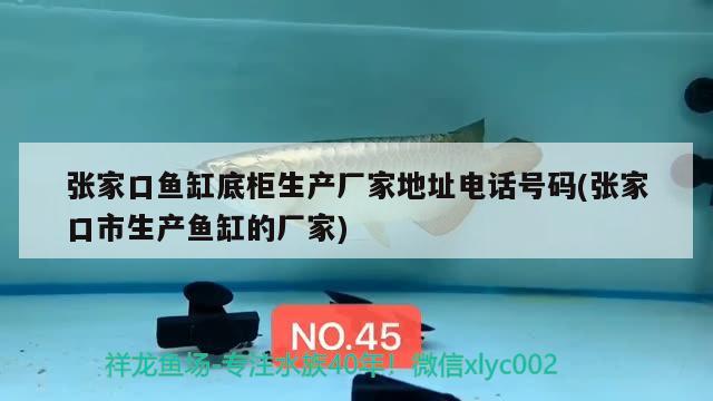 張家口魚缸底柜生產(chǎn)廠家地址電話號碼(張家口市生產(chǎn)魚缸的廠家)