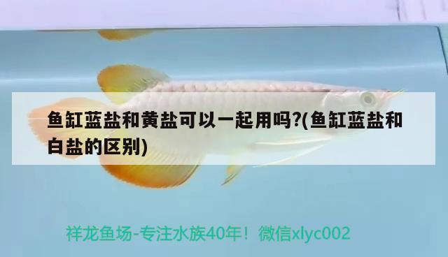 魚缸藍鹽和黃鹽可以一起用嗎?(魚缸藍鹽和白鹽的區(qū)別)